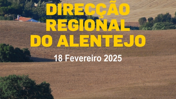 Direcção Regional do Alentejo do Partido Comunista Português Comunicado à imprensa